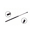 84589 Driver or Passenger Side Liftgate Lift Support
