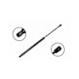 84593 Driver or Passenger Side Liftgate Lift Support