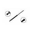 84604 Driver or Passenger Side Hood Lift Support