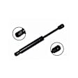 84607 Driver or Passenger Side Trunk Lid Lift Support