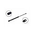 84626 Driver or Passenger Side Trunk Lid Lift Support