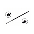 84629 Driver or Passenger Side Hood Lift Support
