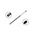 84636 Driver or Passenger Side Hood Lift Support