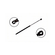 84687 Driver or Passenger Side Hood Lift Support