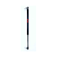 84699 Driver or Passenger Side Liftgate Lift Support
