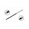 84715 Driver or Passenger Side Liftgate Lift Support