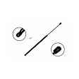 84727 Driver or Passenger Side Liftgate Lift Support