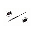 84754 Driver or Passenger Side Liftgate Lift Support