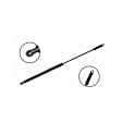 84759 Driver or Passenger Side Tailgate Lift Support