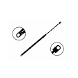 84772 Driver or Passenger Side Liftgate Lift Support