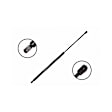 84806 Driver or Passenger Side Liftgate Lift Support