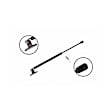 84815 Driver Side Back Glass Lift Support