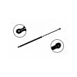 84825 Driver or Passenger Side Liftgate Lift Support
