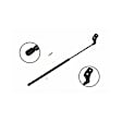 84832 Passenger Side Liftgate Lift Support
