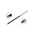 84877 Driver or Passenger Side Liftgate Lift Support