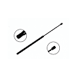 84880 Driver or Passenger Side Trunk Lid Lift Support