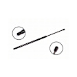 84995 Driver or Passenger Side Liftgate Lift Support
