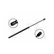 86007 Driver or Passenger Side Liftgate Lift Support