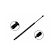 86101 Driver or Passenger Side Liftgate Lift Support