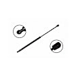 86109 Driver or Passenger Side Liftgate Lift Support