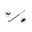 86113L Driver Side Liftgate Lift Support