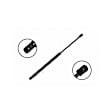 86116 Driver or Passenger Side Liftgate Lift Support