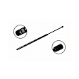 86124 Driver or Passenger Side Liftgate Lift Support