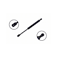 86143 Driver or Passenger Side Trunk Lid Lift Support