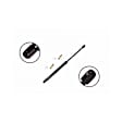 86145 Driver or Passenger Side Liftgate Lift Support