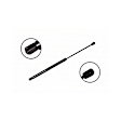86152 Driver or Passenger Side Liftgate Lift Support