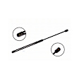 86166 Driver or Passenger Side Hood Lift Support