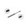 86167 Driver or Passenger Side Trunk Lid Lift Support