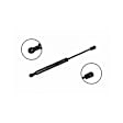 86170 Driver or Passenger Side Trunk Lid Lift Support