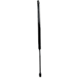 86178 Driver or Passenger Side Liftgate Lift Support