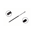 2010 Honda CR-V - Driver or Passenger Side Lift Support Liftgate, For Liftgate, OE Replacement Series