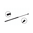 86185 Driver or Passenger Side Liftgate Lift Support