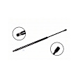 86186 Driver or Passenger Side Liftgate Lift Support