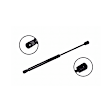 86189 Driver or Passenger Side Liftgate Lift Support