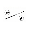 86192 Driver or Passenger Side Back Glass Lift Support