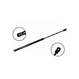 86216 Driver or Passenger Side Liftgate Lift Support