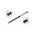 86224 Driver or Passenger Side Trunk Lid Lift Support