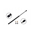 2005 Lexus GX470 - Driver or Passenger Side Lift Support Hood, For Hood, OE Replacement Series