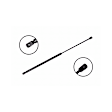 86234 Driver or Passenger Side Door Lift Support
