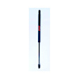 86242 Driver or Passenger Side Hood Lift Support