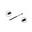 86255 Driver or Passenger Side Trunk Lid Lift Support