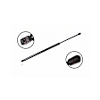 86257 Driver or Passenger Side Liftgate Lift Support