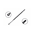 86268 Driver or Passenger Side Liftgate Lift Support