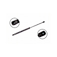 86269 Driver or Passenger Side Liftgate Lift Support