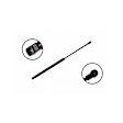2004 Volkswagen Golf - Driver or Passenger Side Lift Support Liftgate, Rear, For Liftgate, Models With Reduced Hatch Opening, OE Replacement Series