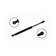 86297 Driver or Passenger Side Trunk Lid Lift Support